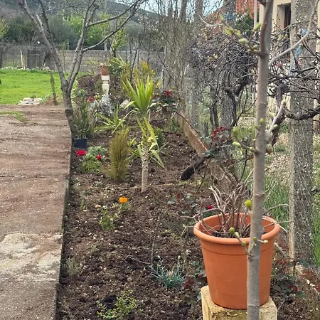 Garden Of Eden Villa Dukat